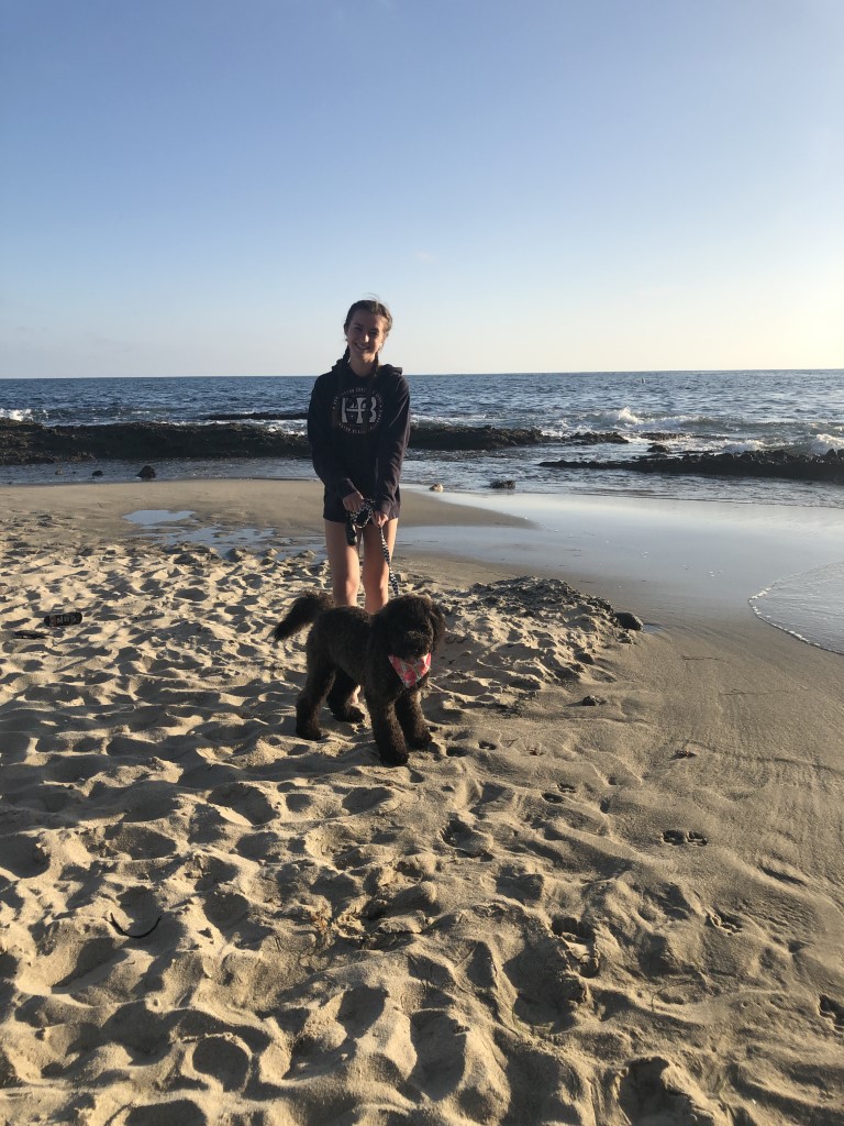 Treasure Island Beach – Dog Friendly SoCal