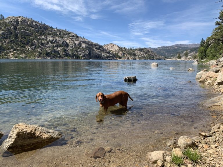 Kennedy Meadows to Relief Reservoir Backpack – Dog Friendly SoCal