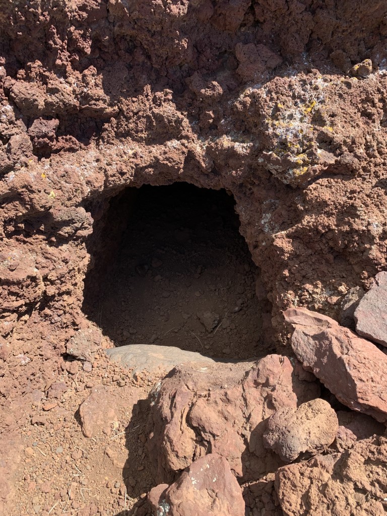 Old Caves Crater Summit Dog Friendly SoCal   IMG 8826 Medium 